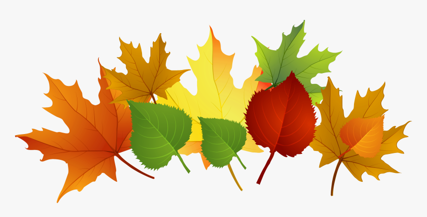 Thanksgiving Leaves Clip Art, HD Png Download, Free Download