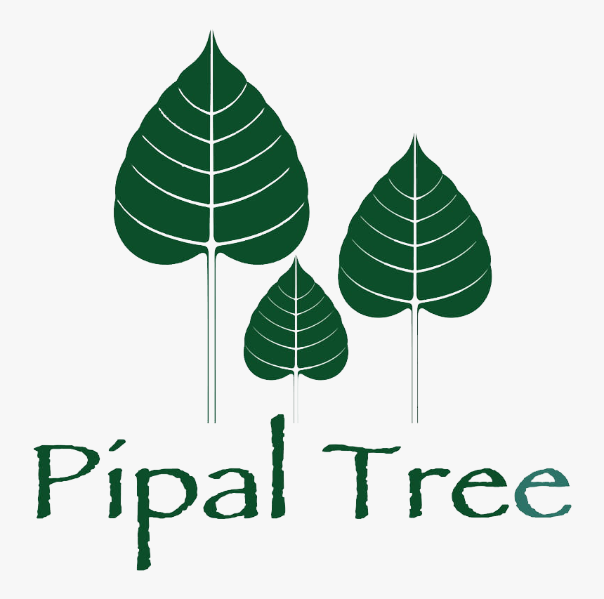 Leaf Clipart Pipal Tree - Clipart Of Leaf Of Pipal, HD Png Download, Free Download