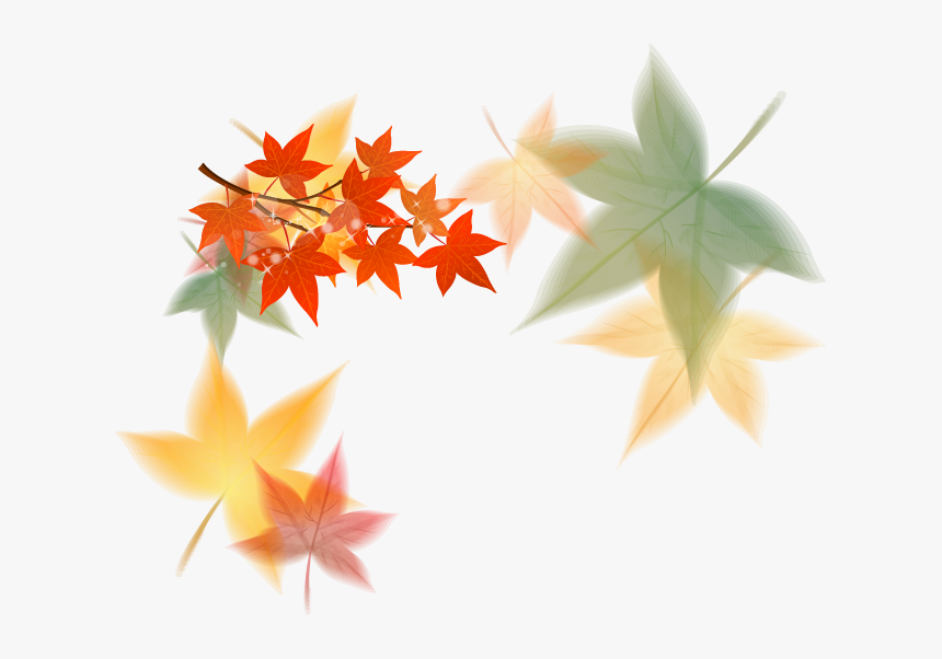 Fall Leaf Clipart Modern - Maple Leaf, HD Png Download, Free Download