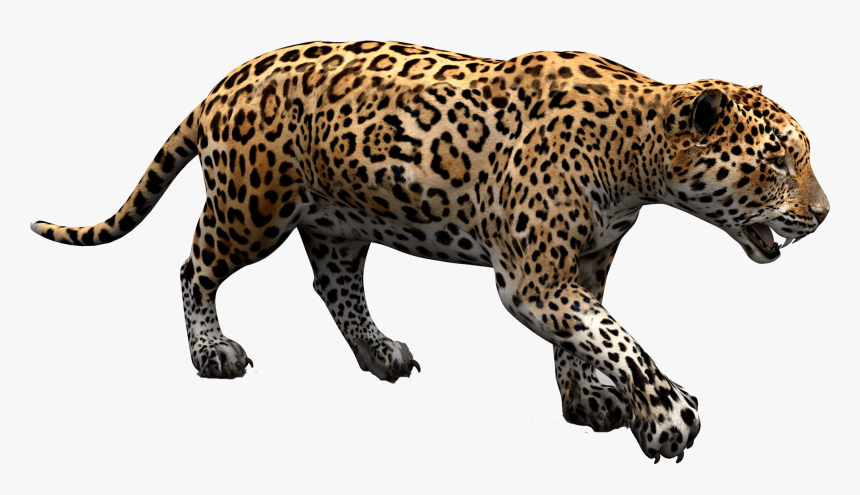 Jaguar Cars Jaguar Land Rover - Jaguar Png, Transparent Png, Free Download