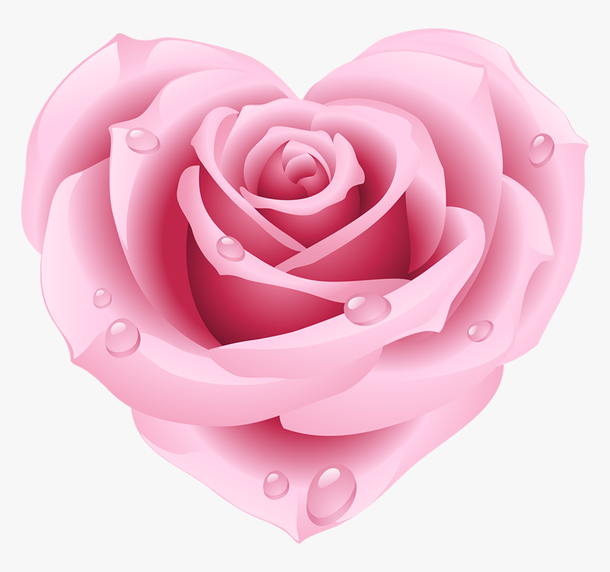 Pink Rose Clipart Free, HD Png Download, Free Download