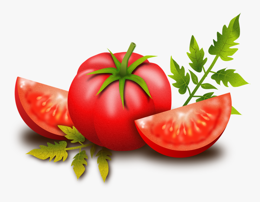 Tomato, Fruits, Vegetables, Plants, Food, Nutritious - Transparent Background Tomato Png Clipart, Png Download, Free Download