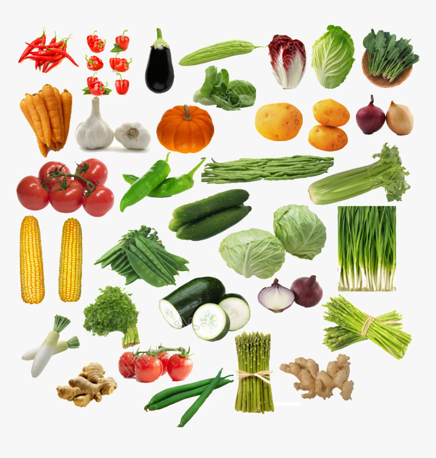 Clip Art All Kinds Of Png - Vegetables Transparent, Png Download, Free Download