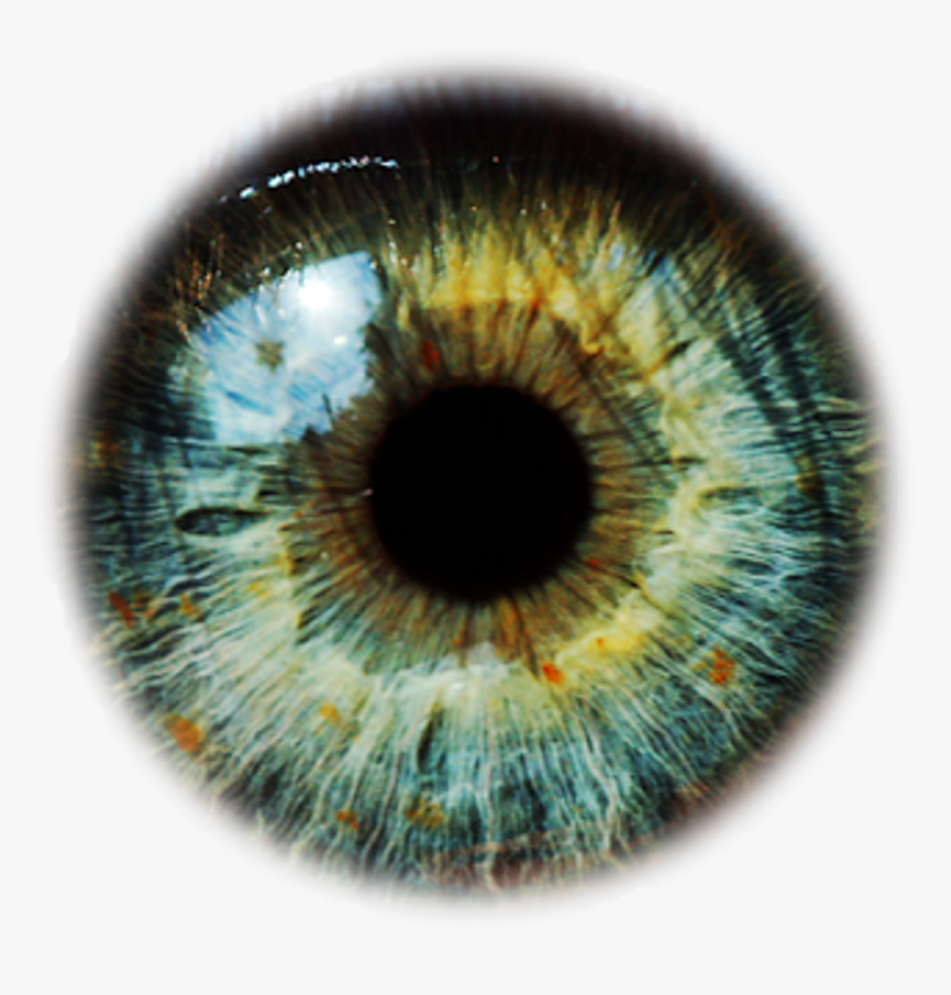 Green Eyes Png - Green Eyes Lens Png, Transparent Png, Free Download