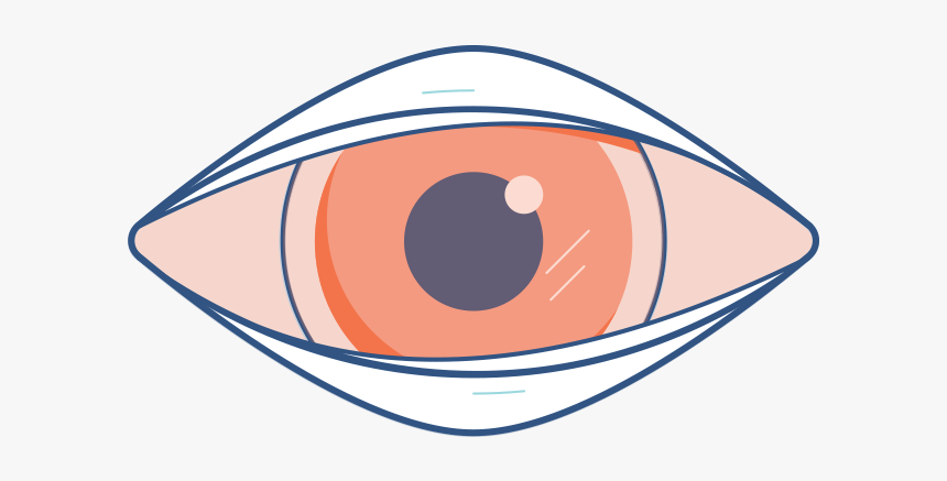 Transparent Pink Eye Clip Art, HD Png Download, Free Download