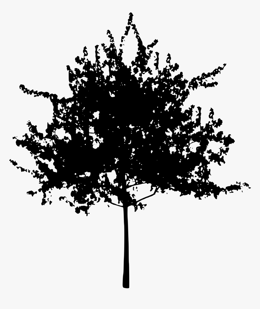 Transparent Openclipart - Source - Openclipart - Org - Architecture Tree Silhouette Png, Png Download, Free Download
