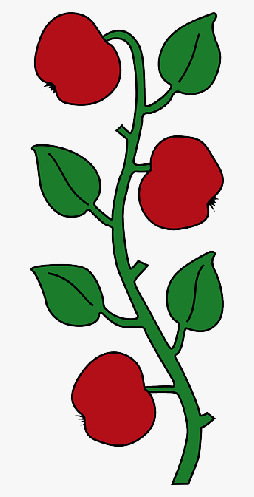 Fruit Tree Cartoon - Apple Tree Branch Clipart, HD Png Download, Free Download