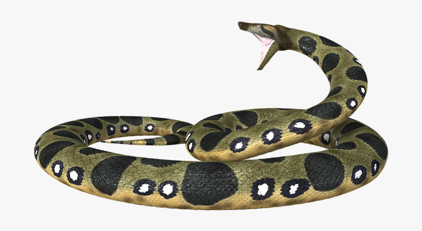 Hd Anaconda Toxic Transparent Background - Anaconda Transparent Png, Png Download, Free Download