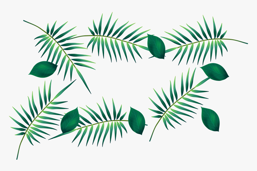 Transparent Palm Leaf Png - ورق اخضر Png, Png Download, Free Download