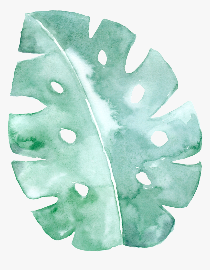 Cartoon Leaf Png - Watercolour Mint Green Background, Transparent Png, Free Download
