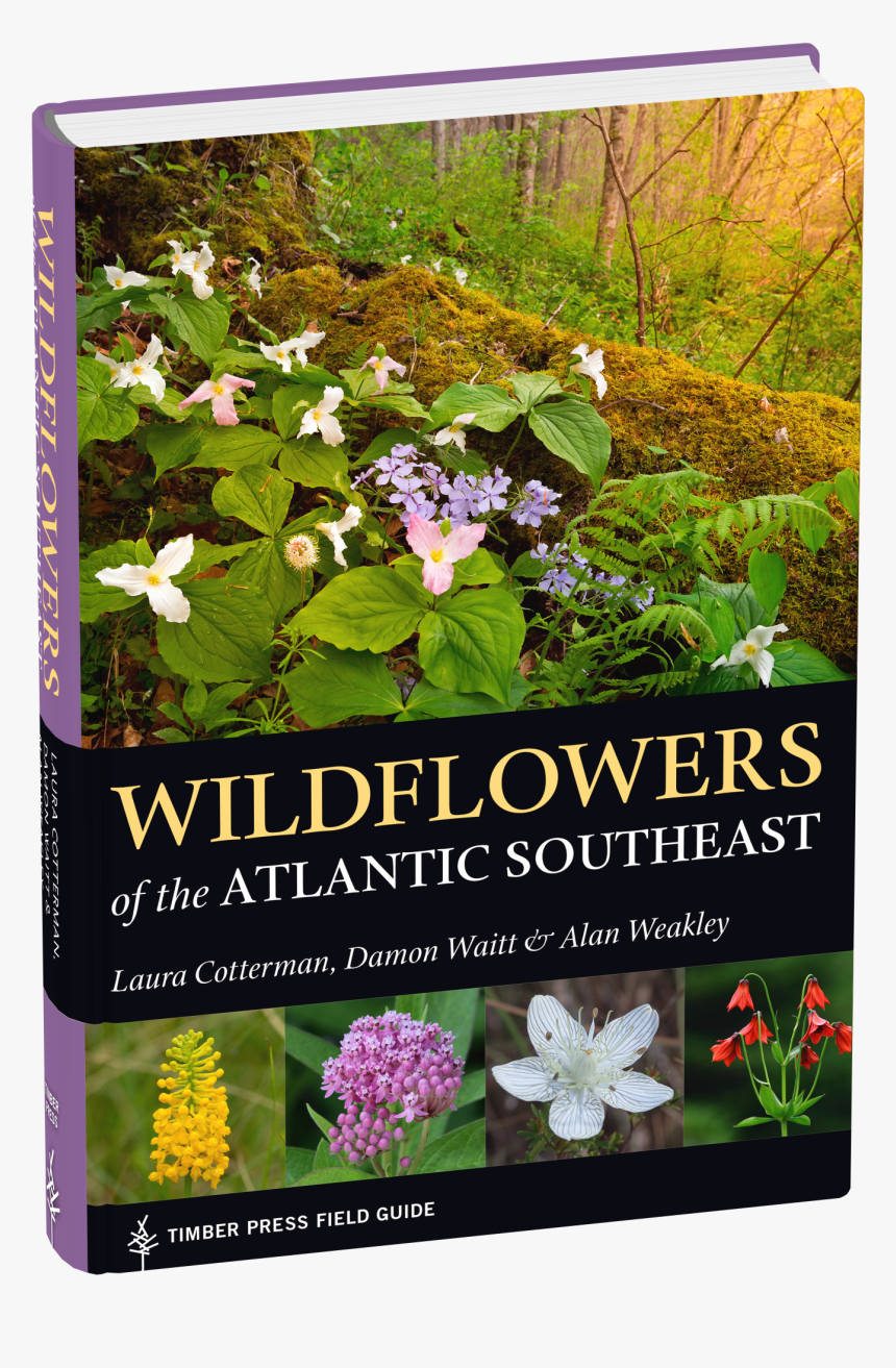 Cover - Wildflowers Of The Atlantic Southeast, HD Png Download, Free Download