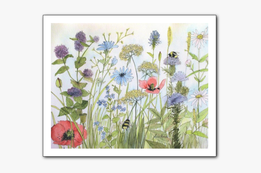 Picture - Watercolor Paintings Of Gardens Flowers, HD Png Download, Free Download