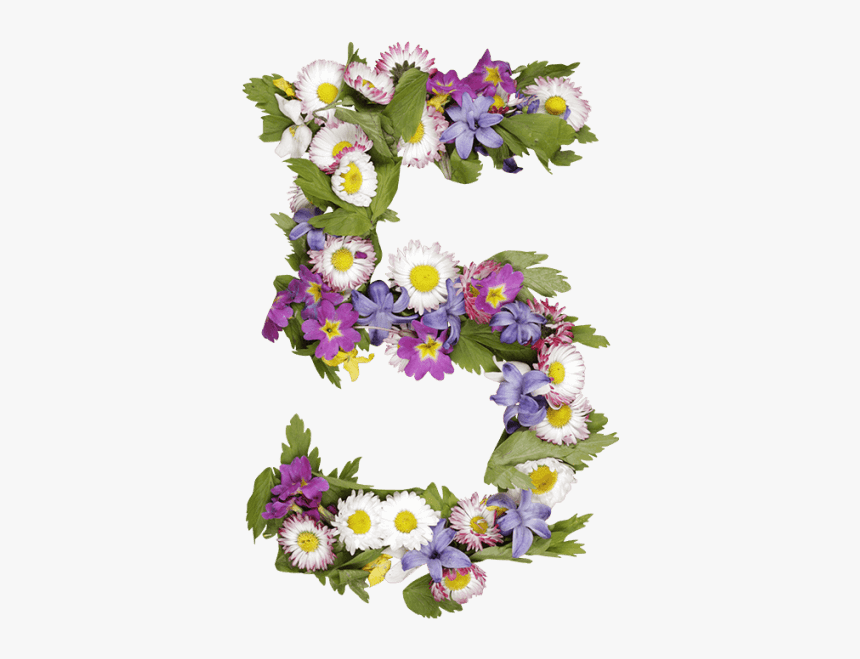 Wildflowers Font - Flower Number Png, Transparent Png, Free Download