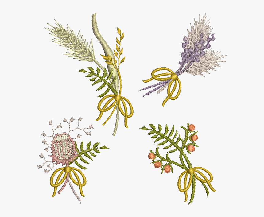 Small Wildflowers Set - Caesalpinia, HD Png Download, Free Download