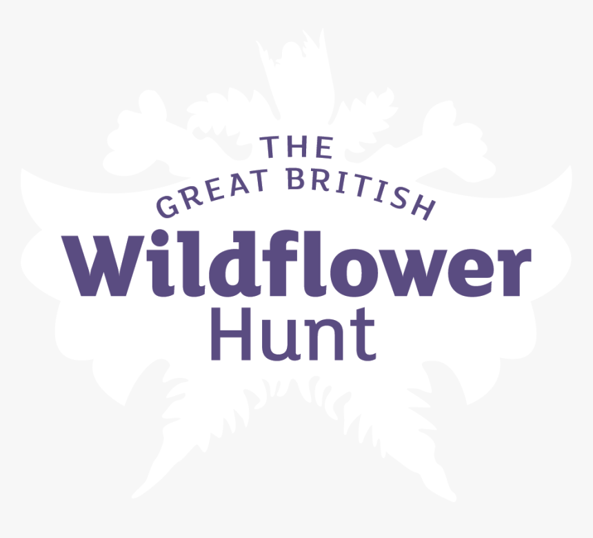 Plantlife - Great British Wildflower Hunt, HD Png Download, Free Download