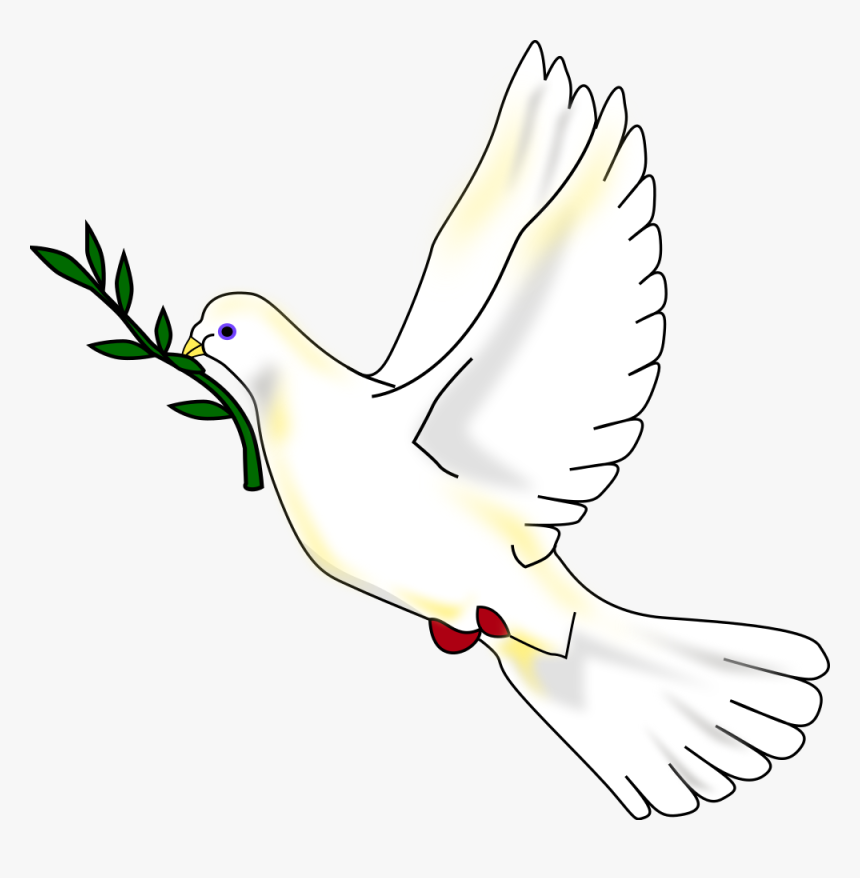 Transparent Holy Spirit Dove Png - Rock Dove, Png Download, Free Download