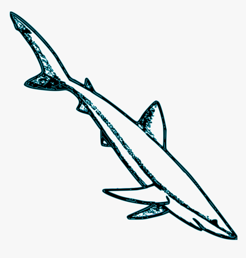 Vector Sharks Shark Bite - Blue Shark Outline In Blue, HD Png Download, Free Download