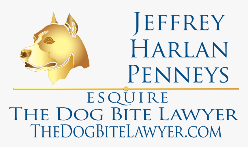 American Staffordshire Terrier, HD Png Download, Free Download