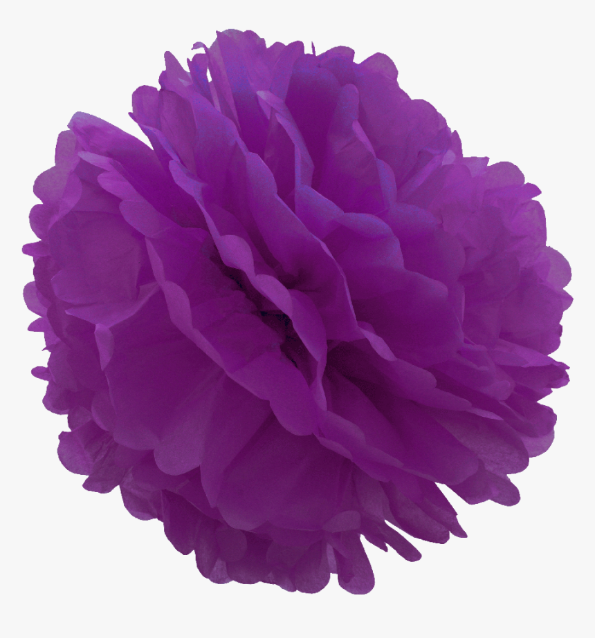 Violet Tissue Pom Pom , Png Download - Tissue Pom Pom Png, Transparent Png, Free Download