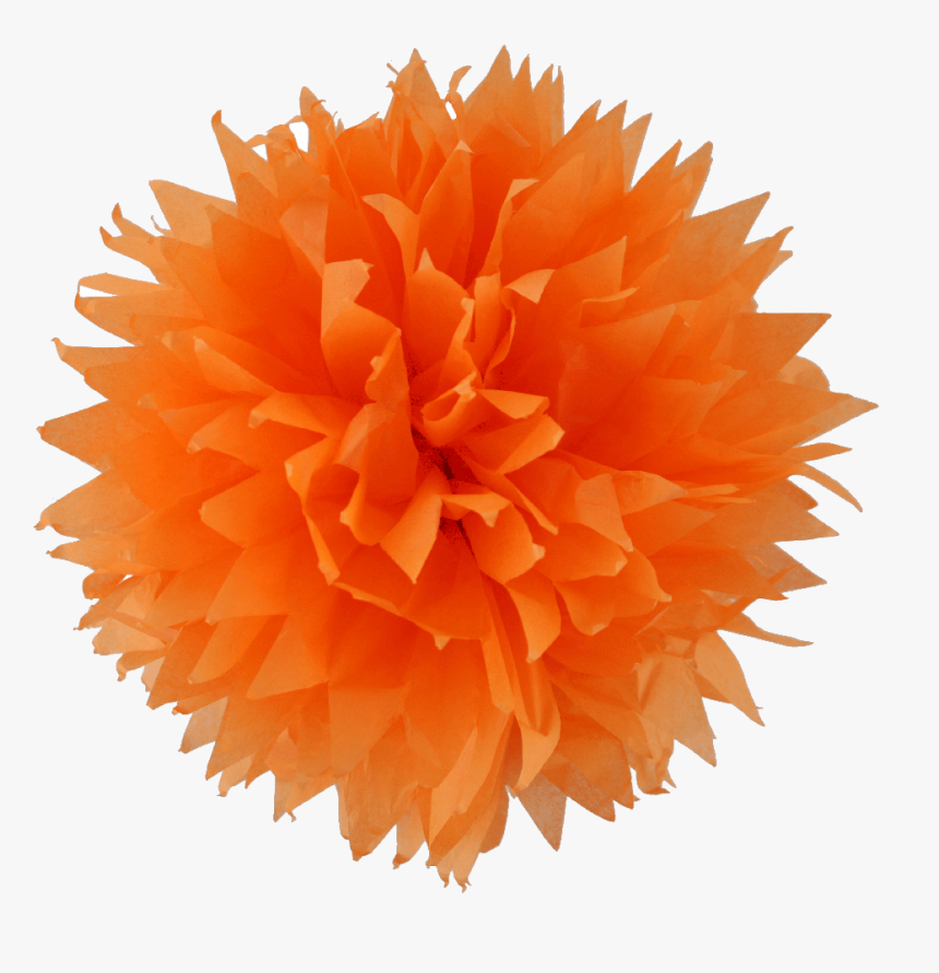 Orange Pom Pom Png , Png Download - Know If A Leo Man Loves You, Transparent Png, Free Download