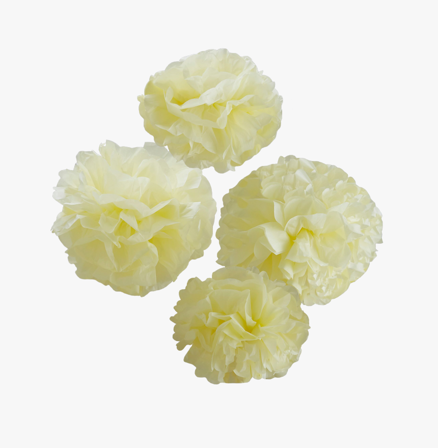 Pom Poms 5-pack - Artificial Flower, HD Png Download, Free Download