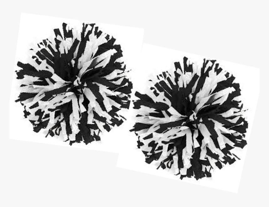 Black And Yellow Cheerleading Pom Poms, HD Png Download, Free Download