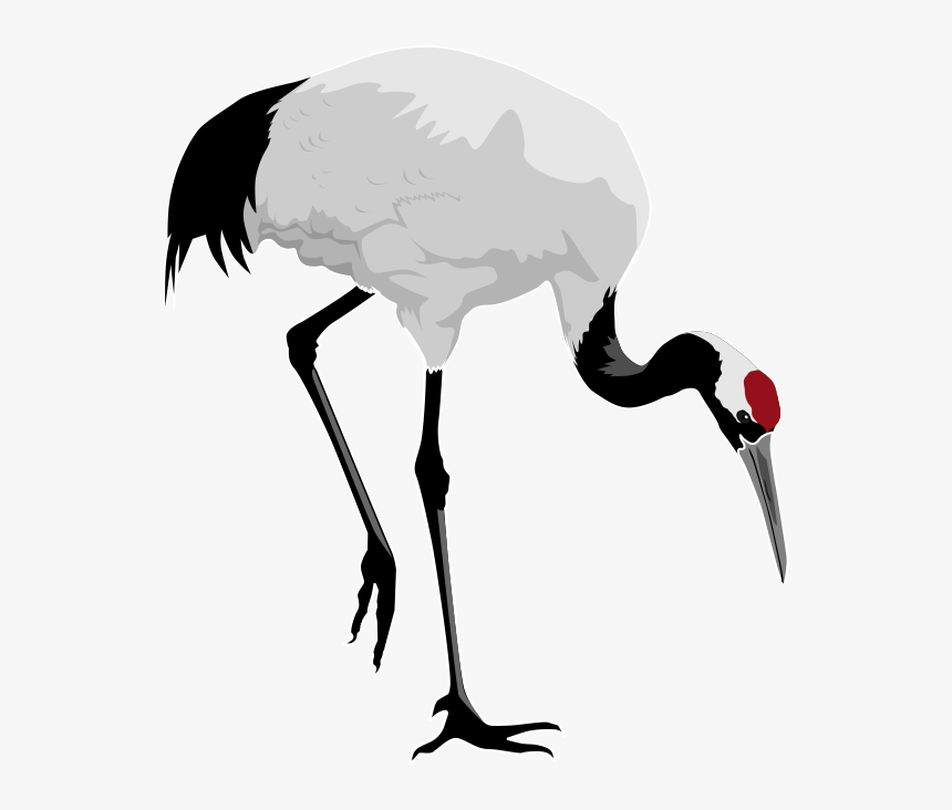 Free To Use Public Domain Birds Clip Art - Whooping Crane Clip Art, HD Png Download, Free Download