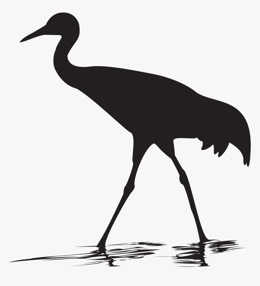 Sandhill Crane Png Coloring Page, Printable Sandhill - Transparent Sandhill Crane Silhouette, Png Download, Free Download