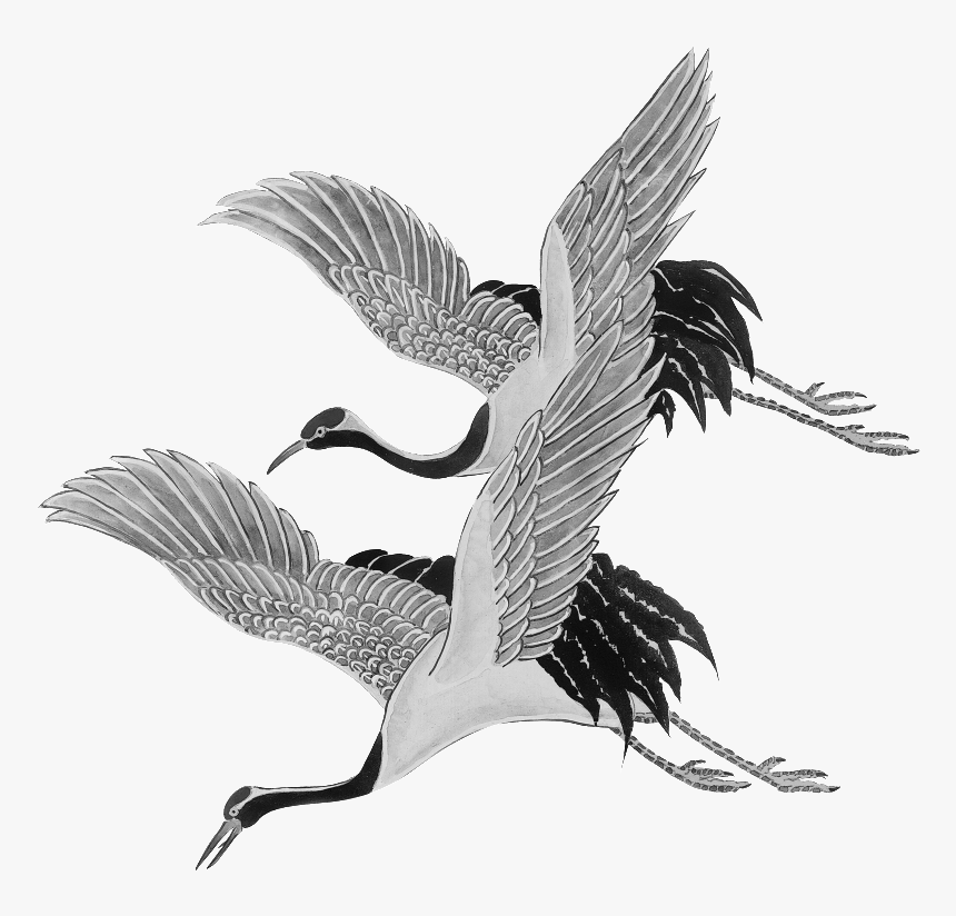 Premium Vector | Crane bird icon. bird crane vector sketch illustration