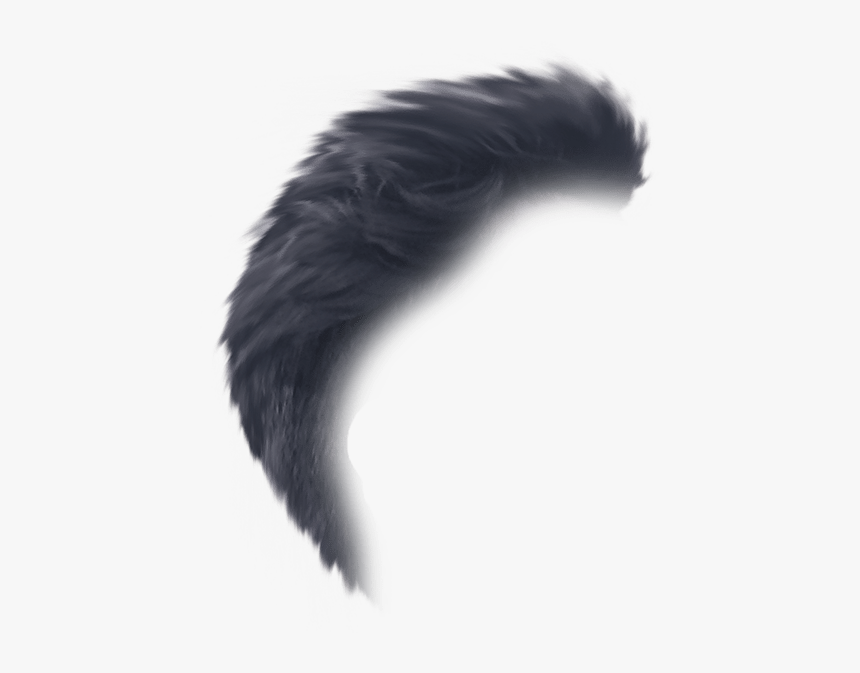 Hair Png Side View, Transparent Png - kindpng