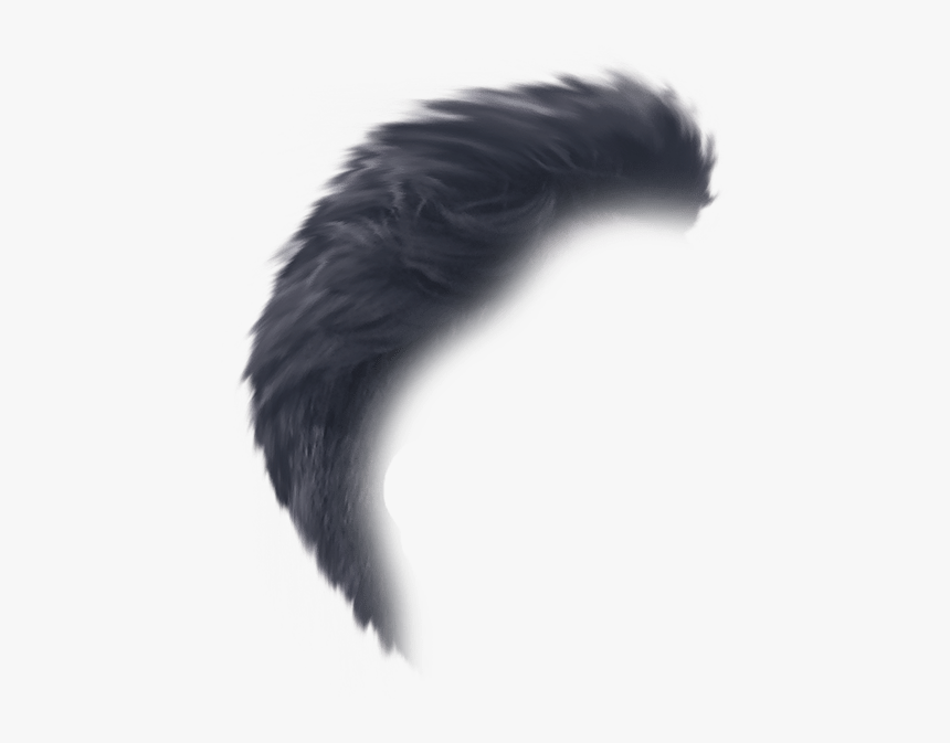 Hair Png Side View, Transparent Png, Free Download