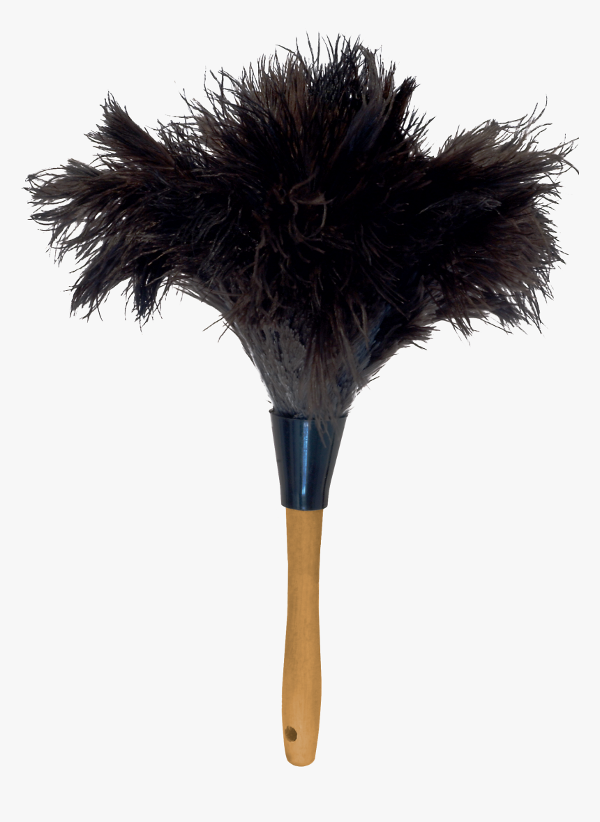 14” Ostrich Feather Duster - Feather Duster Transparent Background, HD Png Download, Free Download