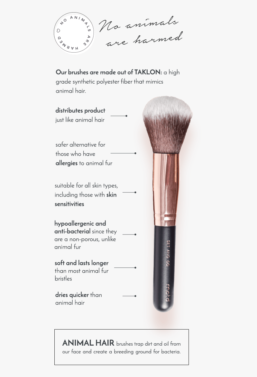 Makeup Brushes, HD Png Download, Free Download