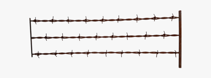Barbwire Png Transparent Images - Barbed Wire Fence Transparent, Png Download, Free Download