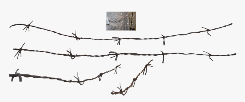 Barbed Wire Png - Png Barbed, Transparent Png, Free Download