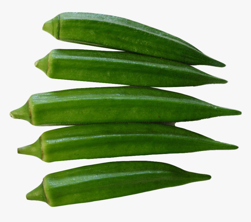 Lady Finger Okra Clipart, HD Png Download, Free Download
