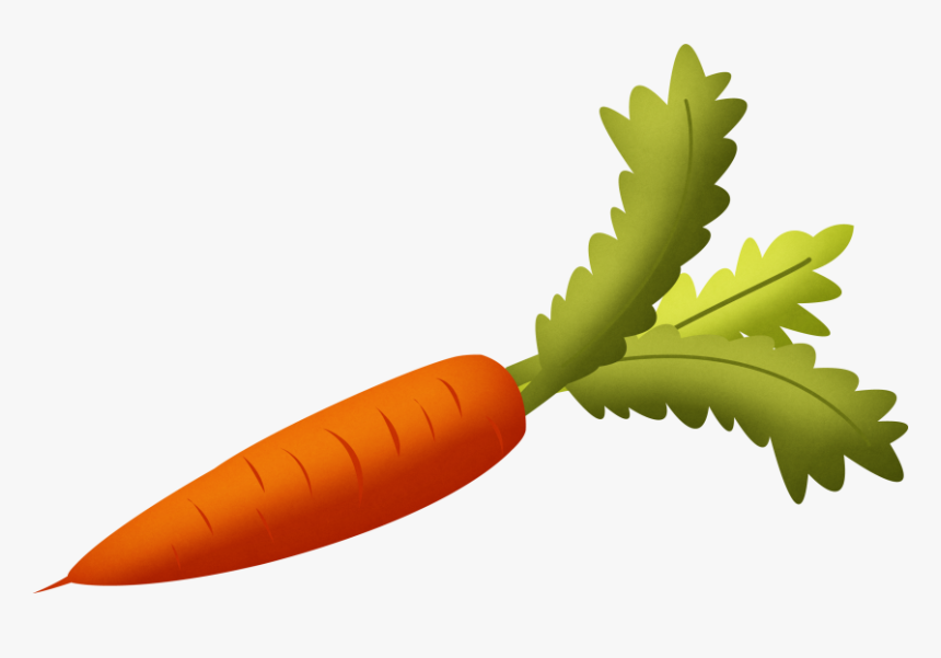 Carrot Clipart Vegetable - Transparent Background Carrot Clipart, HD Png Download, Free Download