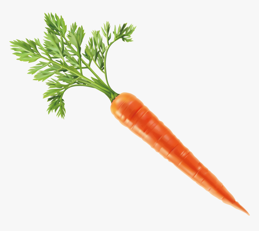 Vegetable Carrot Computer File - Carrot Png, Transparent Png, Free Download