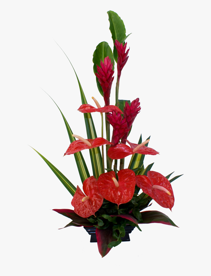 Red Tropical Flower Arrangement - Red Flower Arrangement Ideas, HD Png Download, Free Download