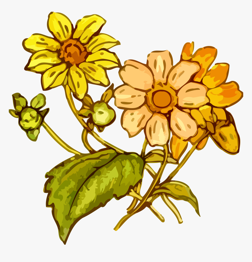 Tropical Flower Clipart 25, Buy Clip Art - Yellow Drawing Flower Png, Transparent Png, Free Download