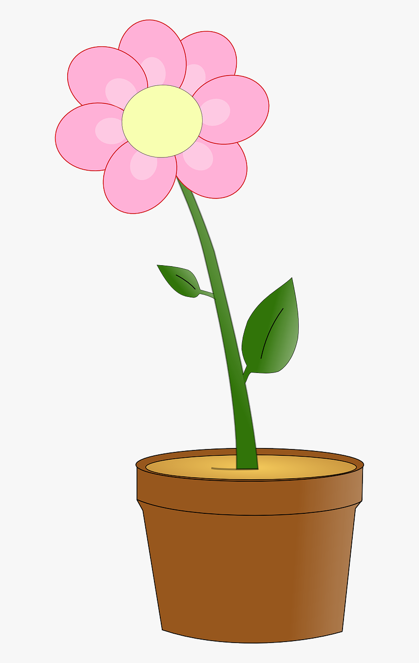 Flower In A Pot, HD Png Download, Free Download
