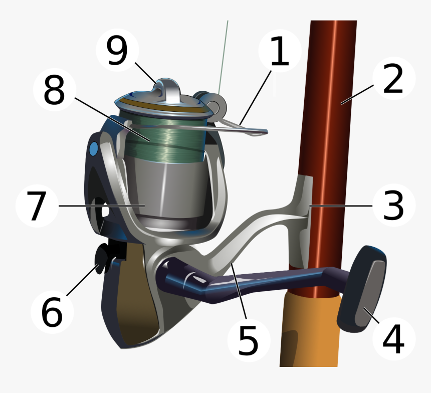 How To Choose A Fishing Reel - Part Of A Fishing Pole, HD Png Download, Free Download