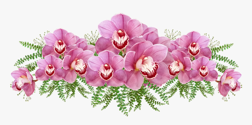 Flowers, Pink, Orchids, Exotic, Tropical, Cut Out - Phalaenopsis Sanderiana, HD Png Download, Free Download