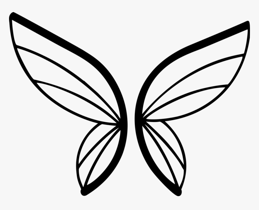 Butterfly, Insect, Wings, Animal, Silhouette - Asas De Fada Desenho, HD Png Download, Free Download