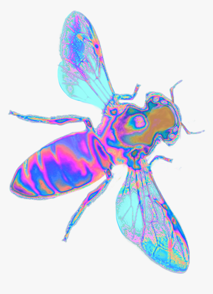 #holo #holographic #bee #wasp #insect #bug #wings #fly - Holographic Bee Png, Transparent Png, Free Download