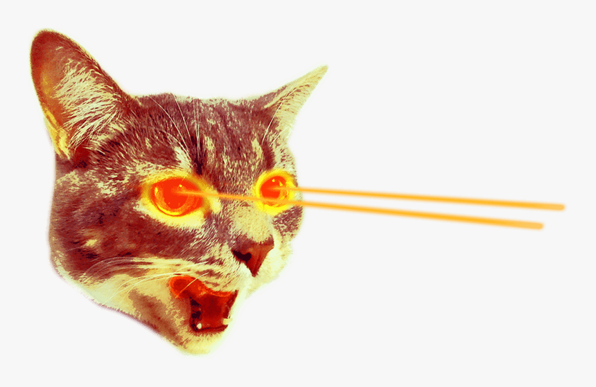 Cat Laser Eyes Png, Transparent Png, Free Download