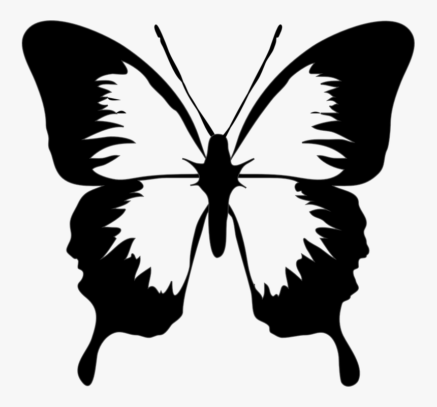 Butterfly, Insect, Wings, Wildlife, Bug, Caterpillar - Butterfly Black And White, HD Png Download, Free Download