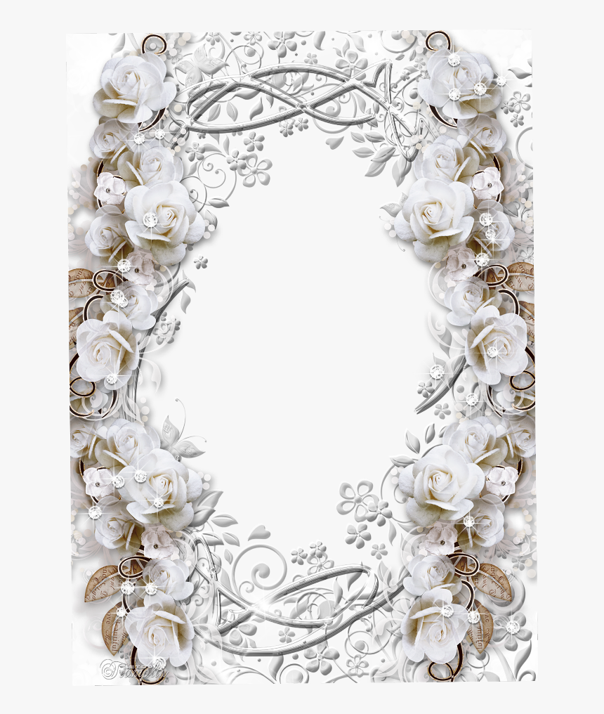 Transparent White Rose Border Png - White Rose Frame Png, Png Download, Free Download