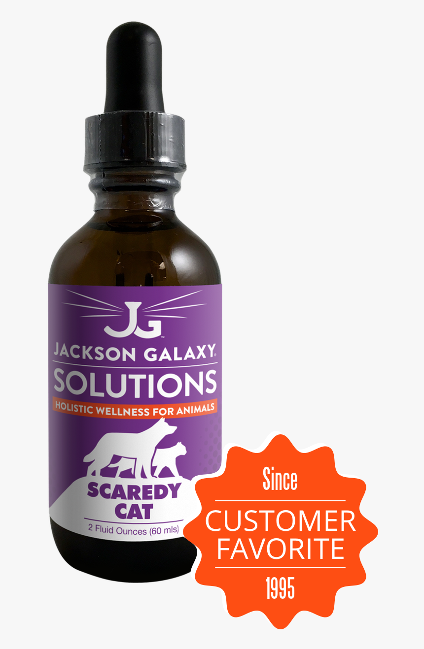 Jackson Galaxy Solutions, HD Png Download, Free Download