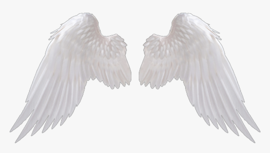 Angel Wing Png - Transparent Background Angel Wings Png, Png Download, Free Download